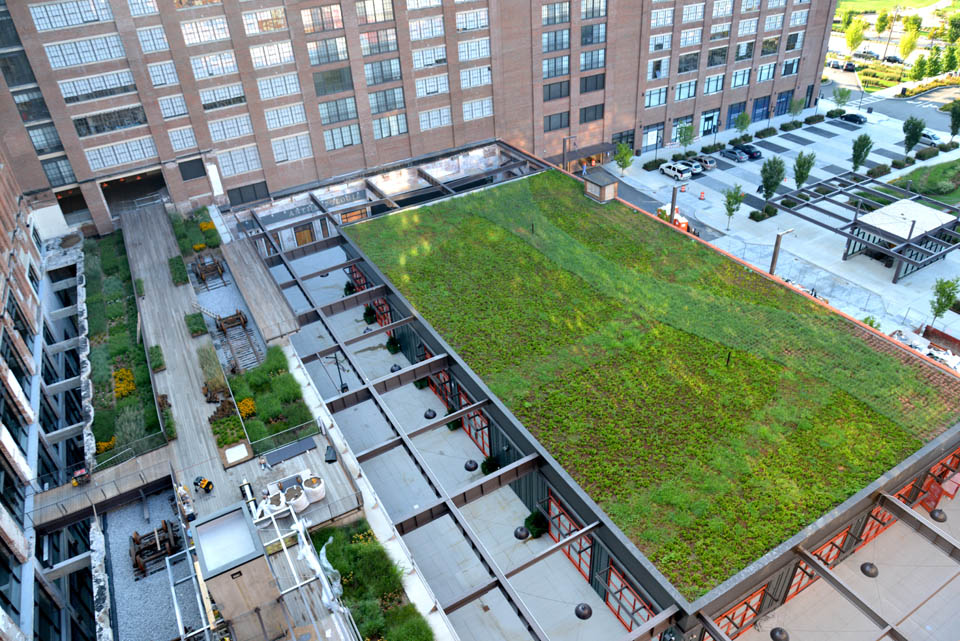 Green Roof at Ponce City Market
